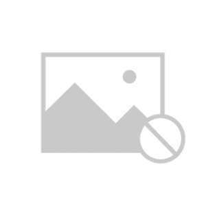 Poly (Ethylene Oxide) (PEO)